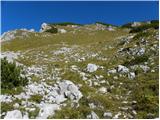 End of road on Vogar - Mala Tičarica